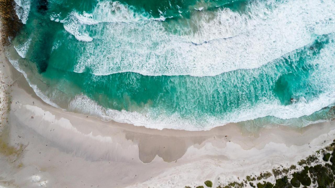 Ocean'S Horizon Beach House スカボロー エクステリア 写真